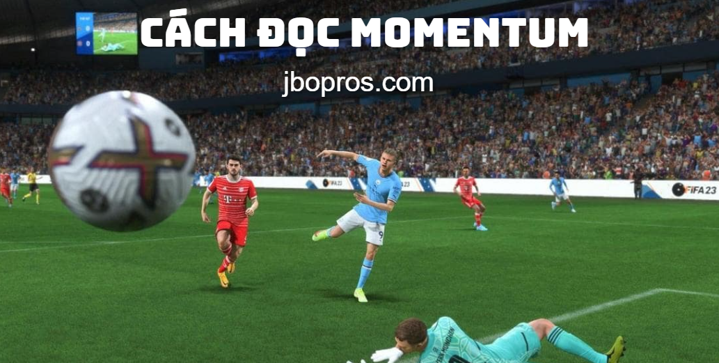 Chia sẻ cách đọc Momentum trận đấu