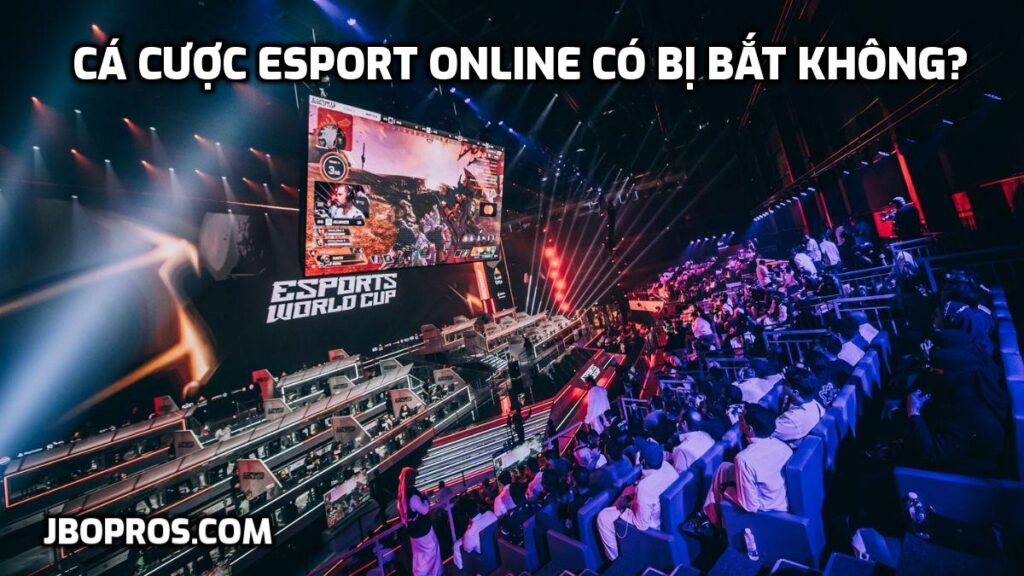 Cá cược Esport online có bị bắt không?