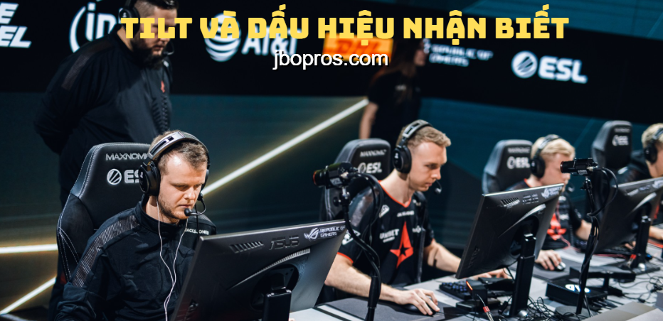 Hiểu rõ tilt là gì