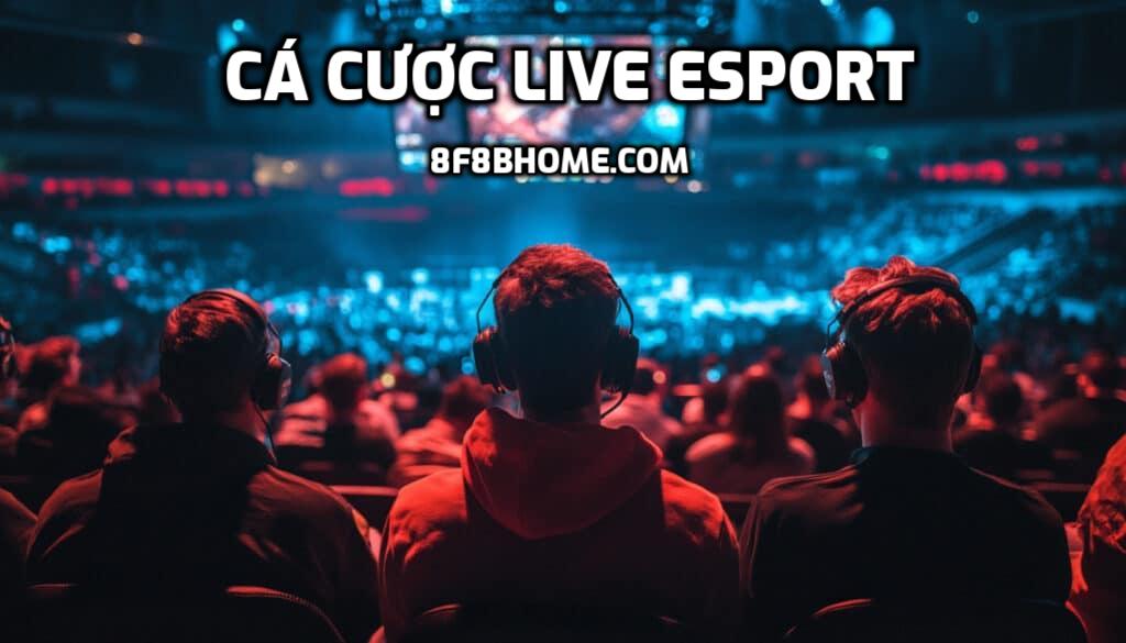 Cá cược live Esport (in-play)